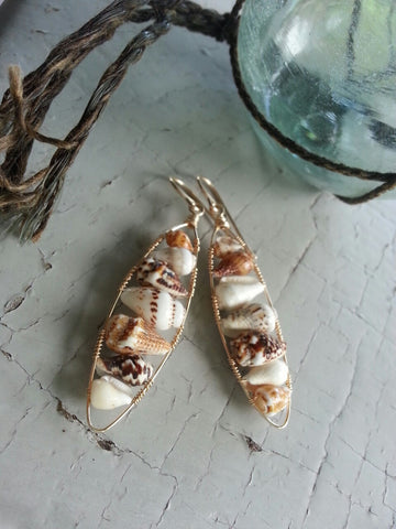 Oval Shell Earrings